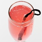 Vanilla Rhuby Slipper