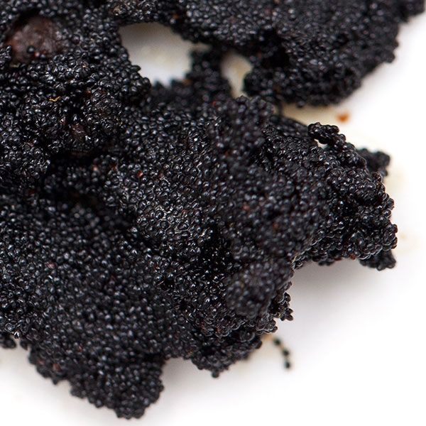 Vanilla Bean Caviar