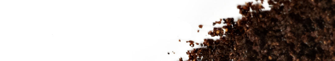 Ground Vanilla Ground Vanilla