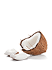 Buy Coconut for Baking