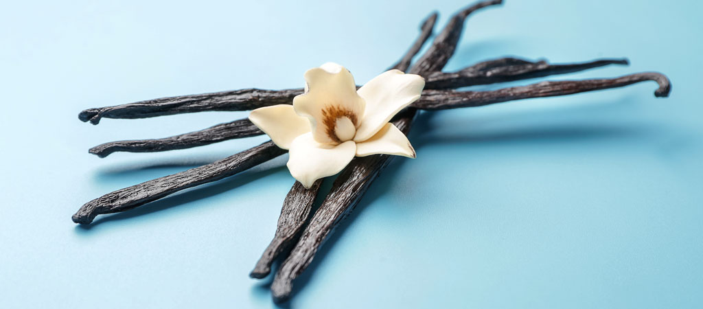 Vanilla Beans with a vanilla orchid flower